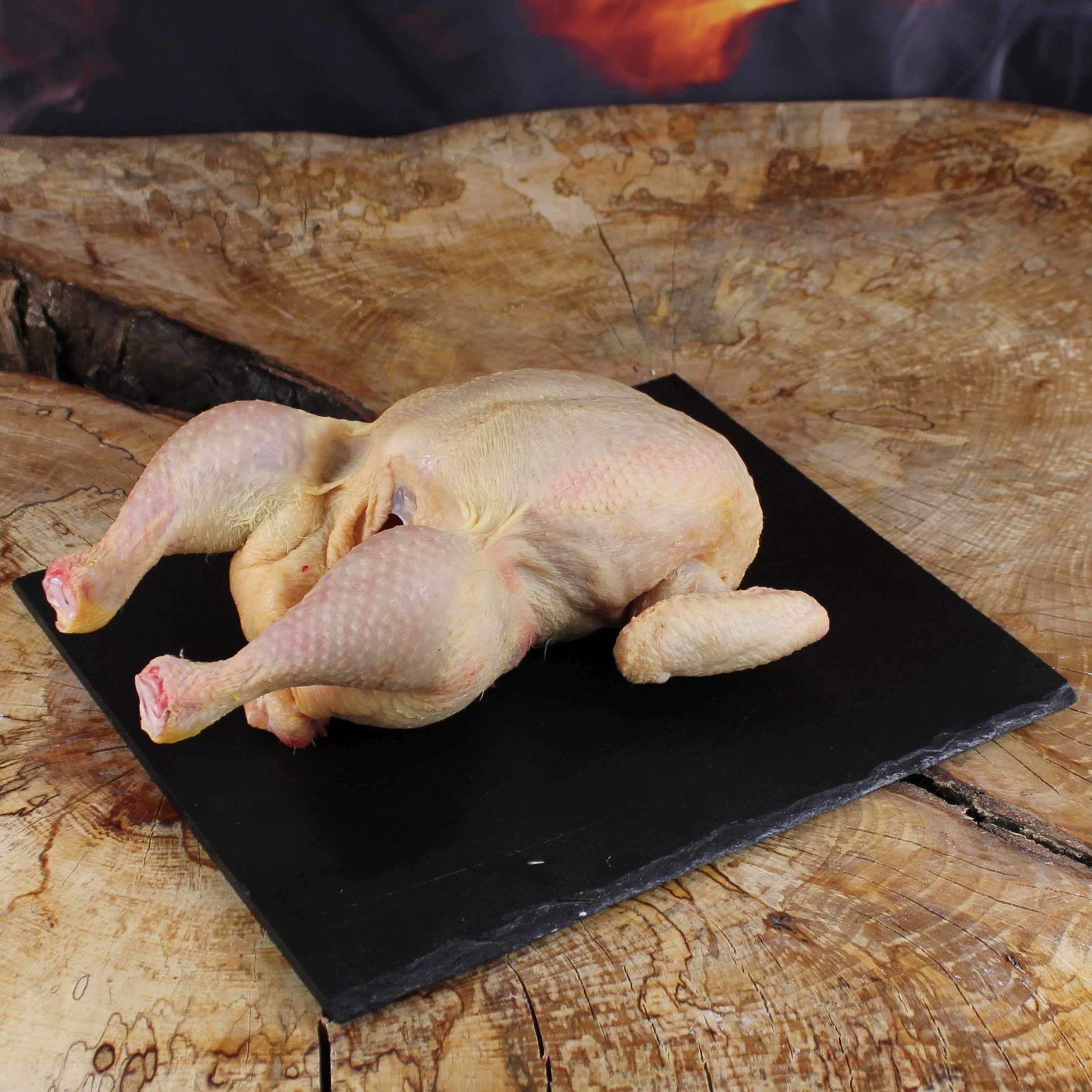 Geflügel Produktfoto